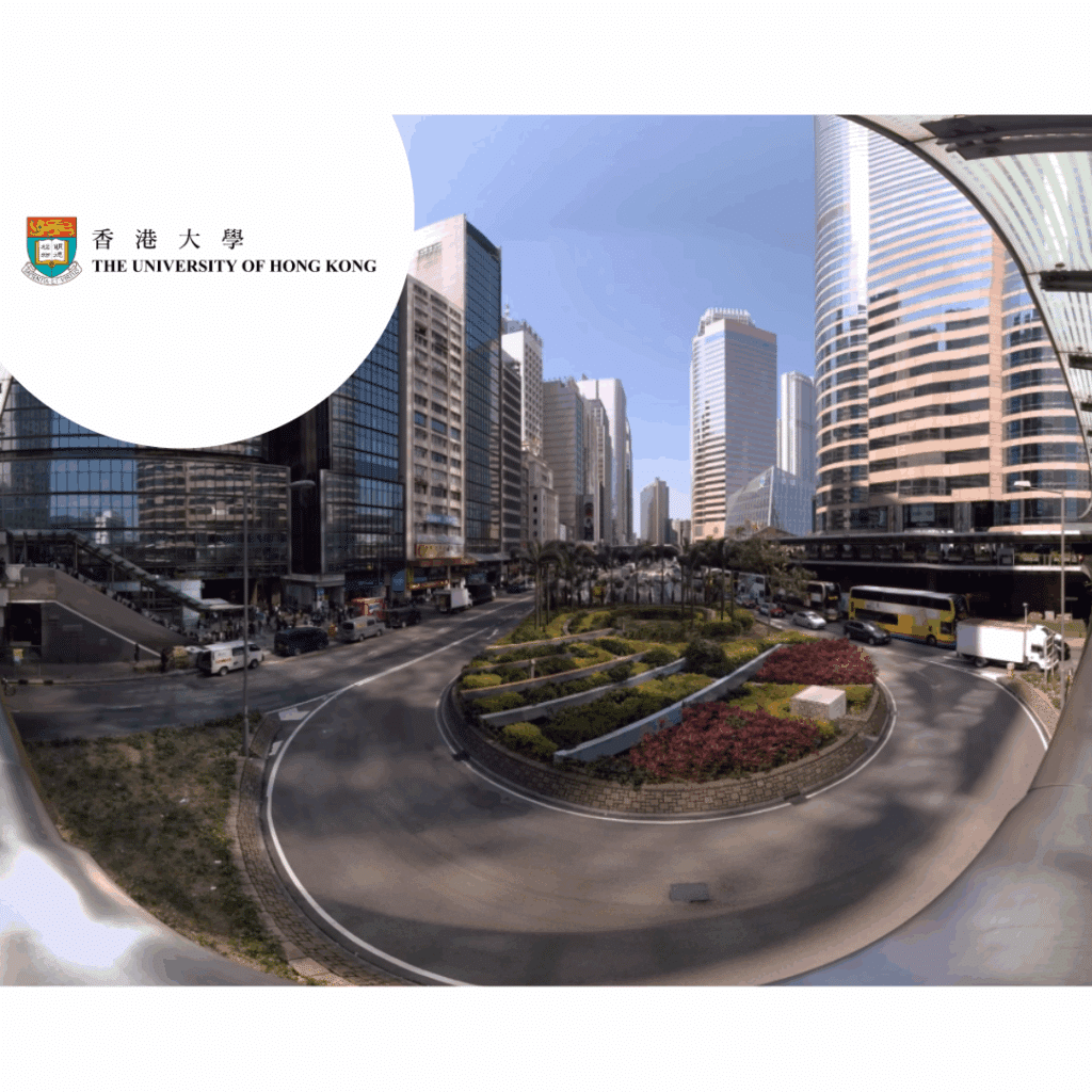 University of Hong Kong (HKU)